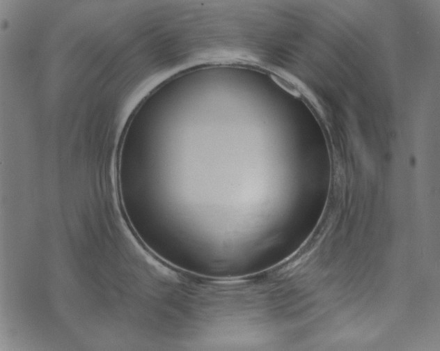 X0000073761343200608171347