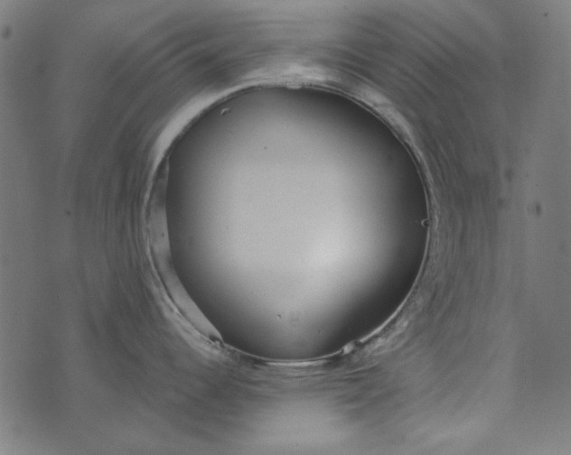 X0000073761344200608171347