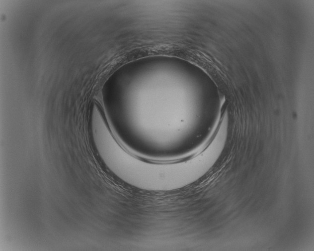 X0000073761345200608171346