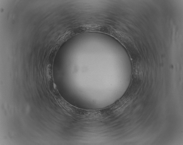 X0000073761346200608171346