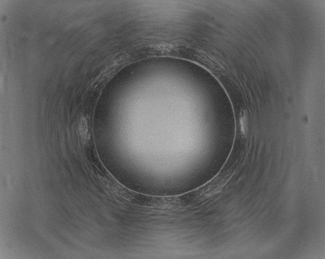 X0000073761347200608171346