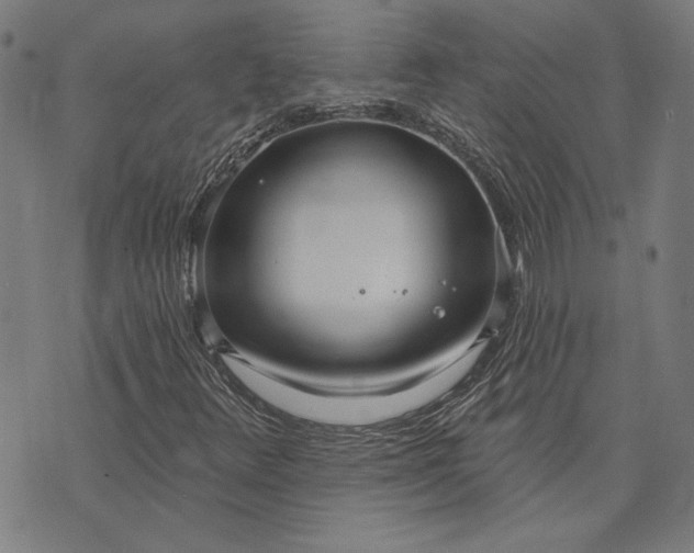 X0000073761348200608171346