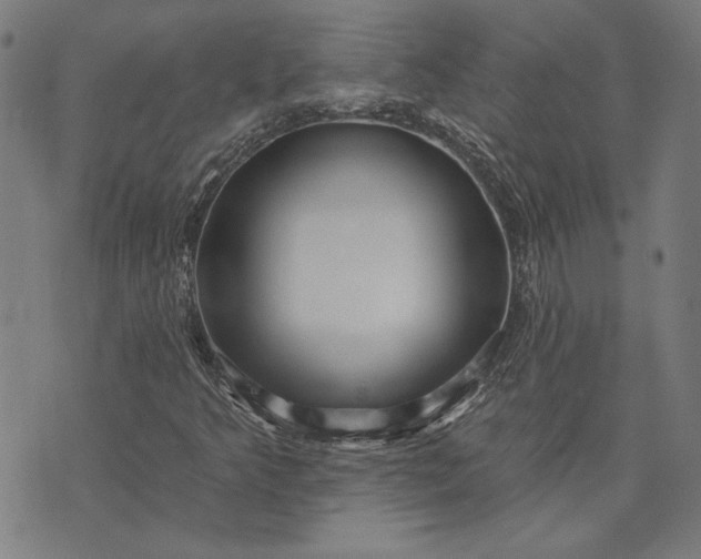 X0000073761349200608171346