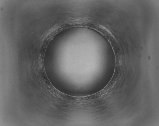 X0000073761350200608171346