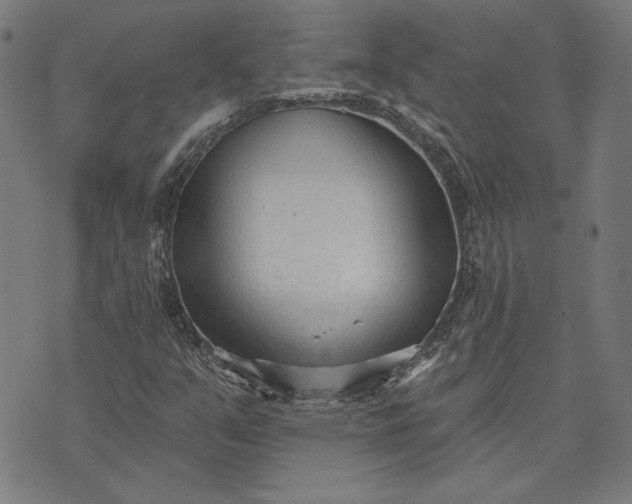 X0000073761351200608171346