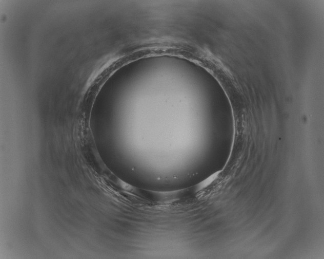 X0000073761352200608171346