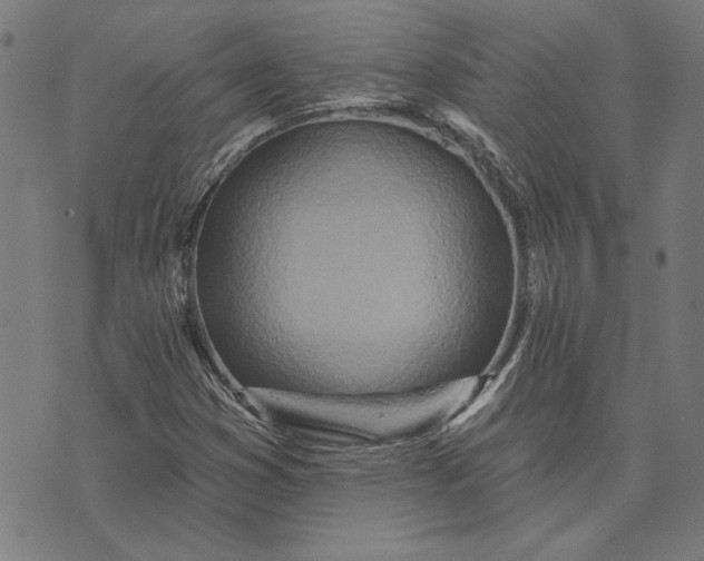 X0000073761353200608171346