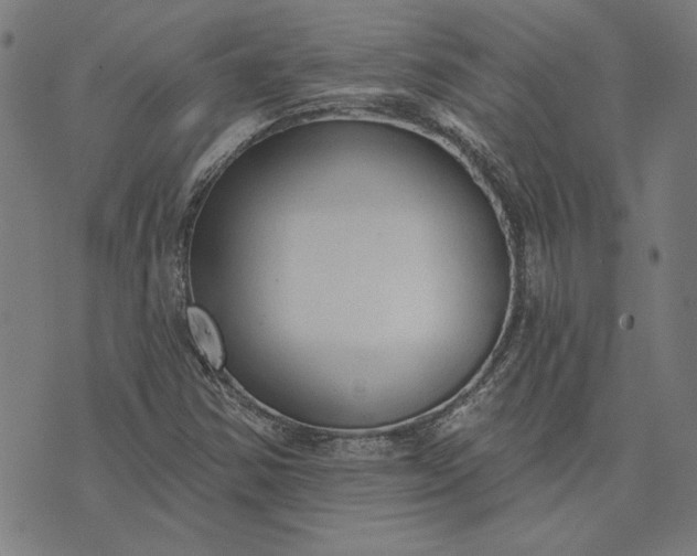 X0000073761354200608171346