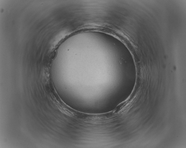 X0000073761355200608171346