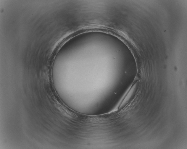 X0000073761356200608171346