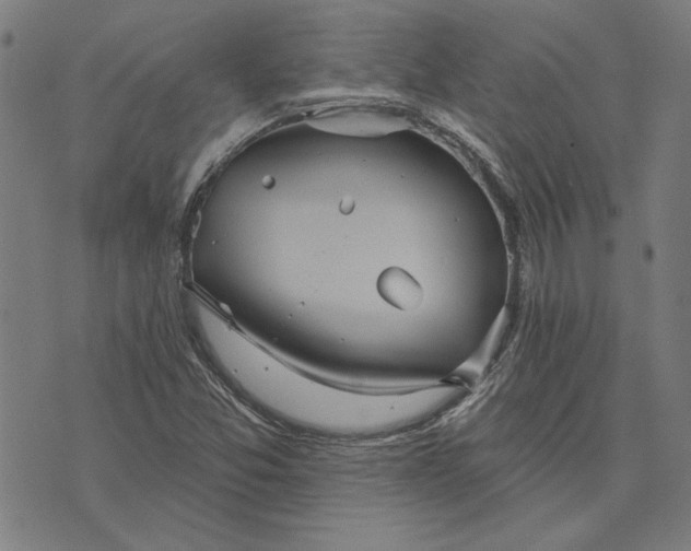 X0000073761357200608171346