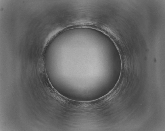 X0000073761358200608171346