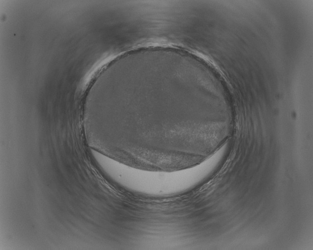 X0000073761359200608171346