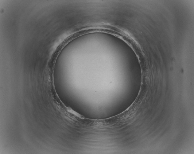 X0000073761360200608171346