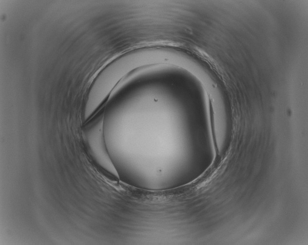 X0000073761361200608171346