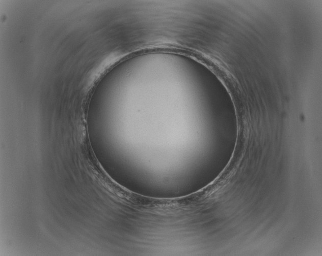 X0000073761363200608171346