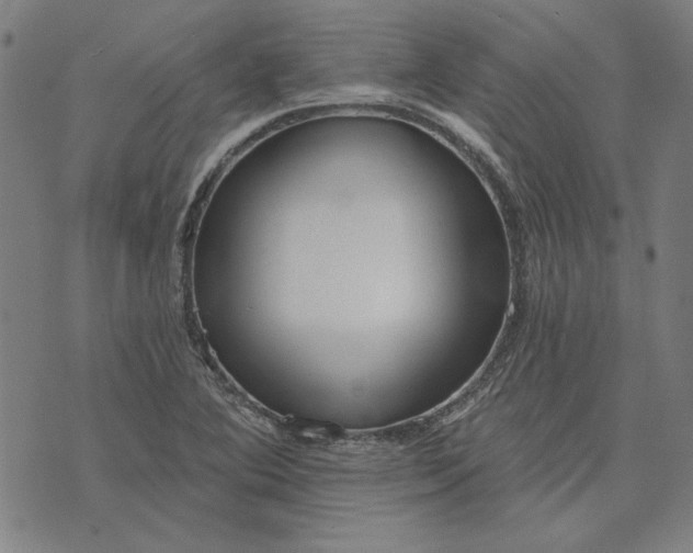 X0000073761364200608171346