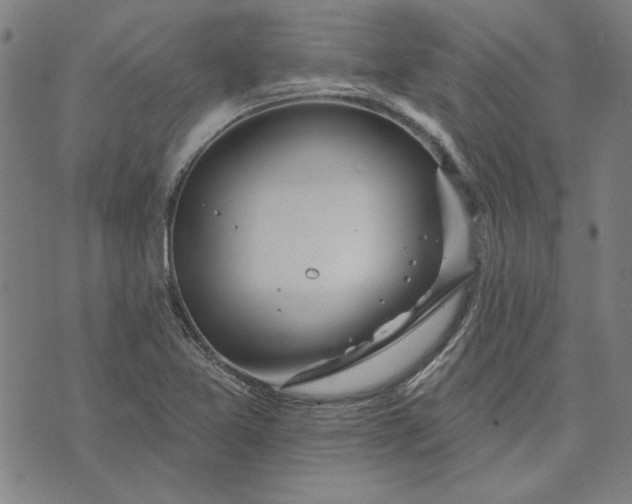 X0000073761365200608171346