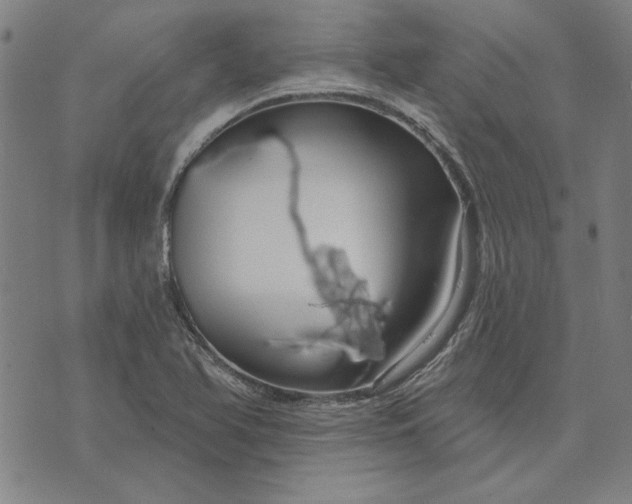 X0000073761366200608171346