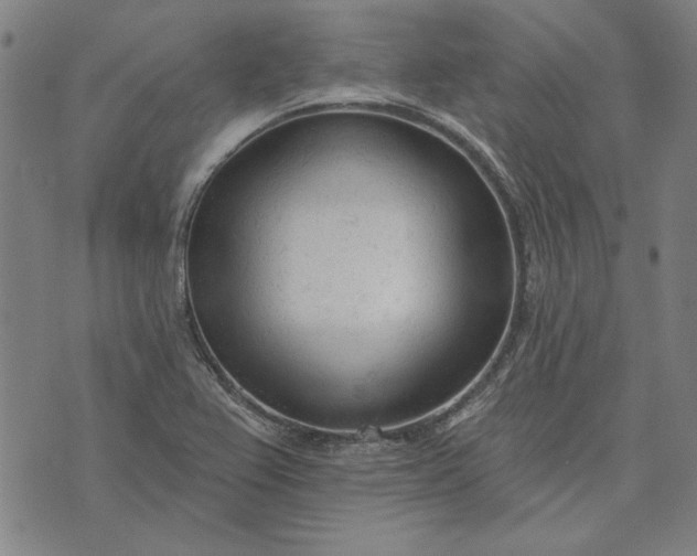 X0000073761367200608171346