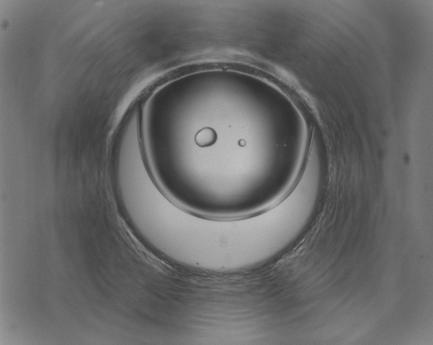 X0000073761368200608171346