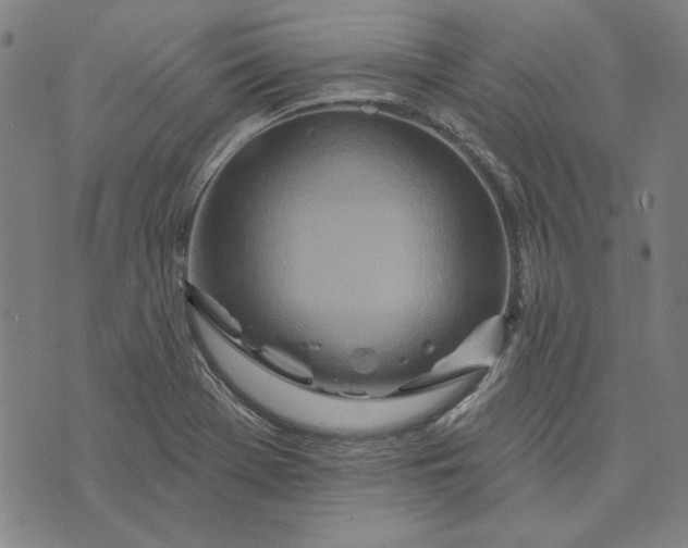 X0000073761369200608171346