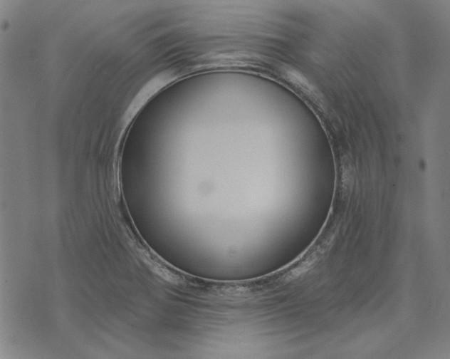 X0000073761370200608171346