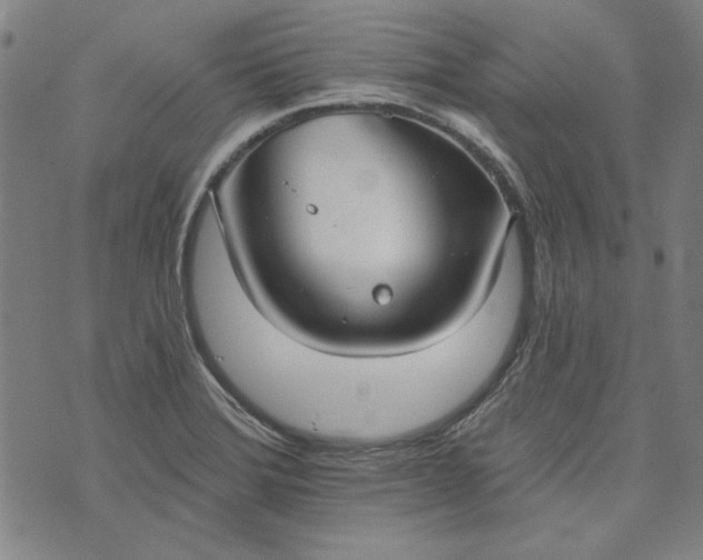 X0000073761372200608171346