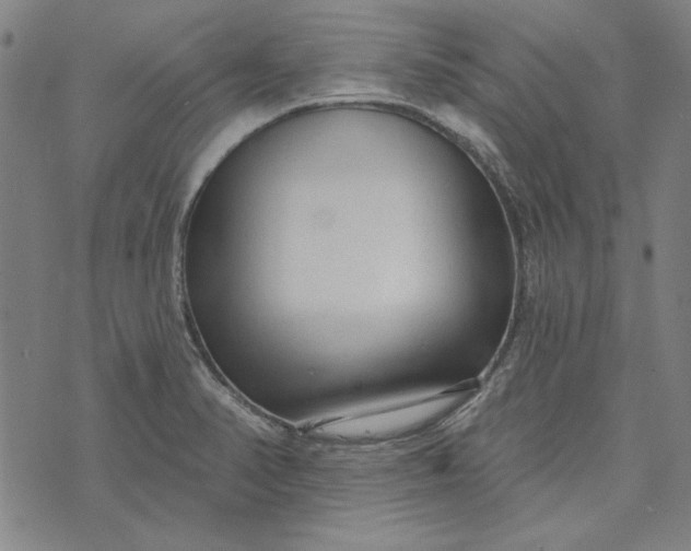 X0000073761374200608171346