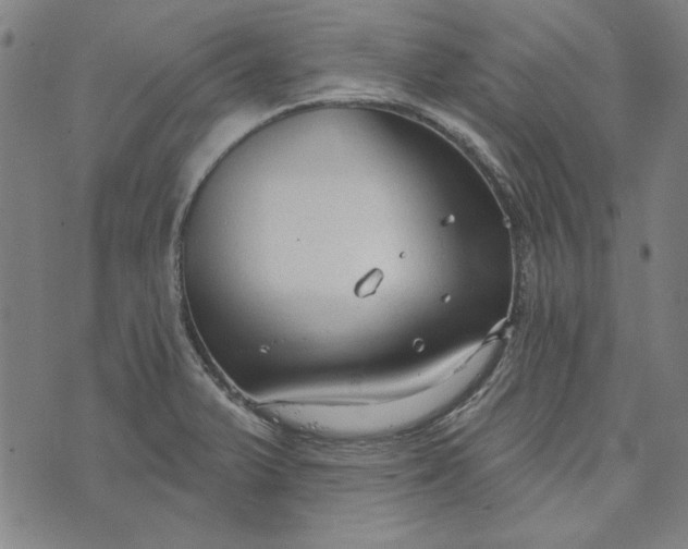 X0000073761375200608171346