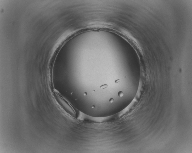 X0000073761376200608171346