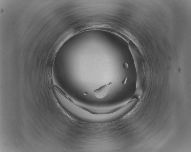 X0000073761377200608171345