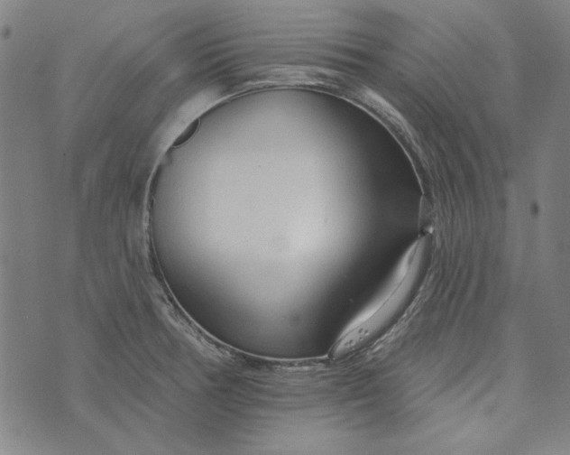 X0000073761378200608171345