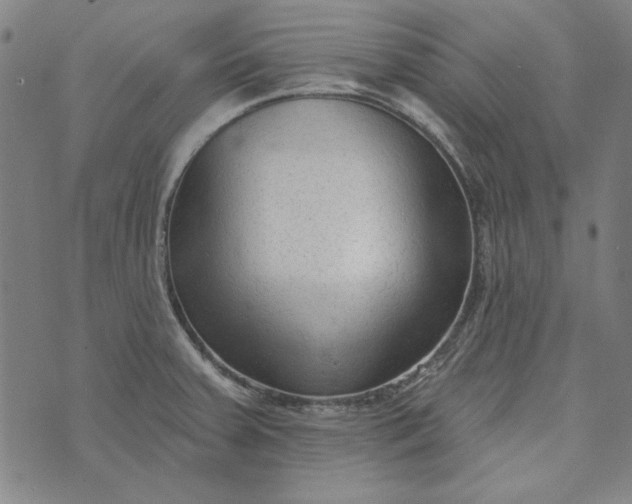 X0000073761379200608171345