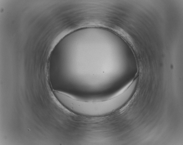 X0000073761382200608171345