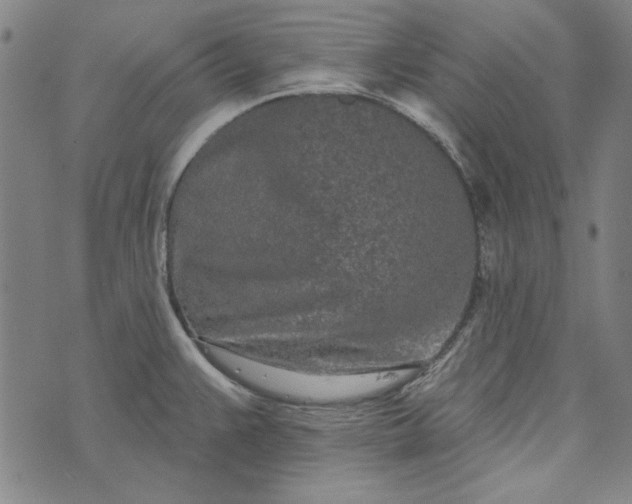 X0000073761383200608171345