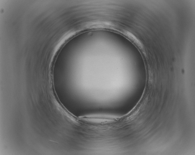 X0000073761384200608171345