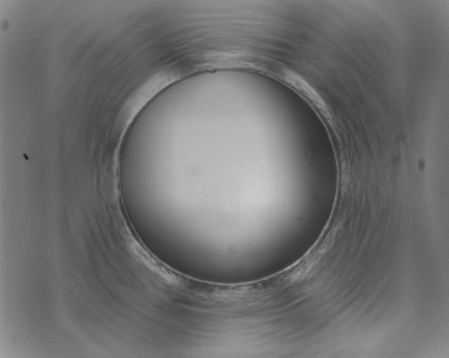 X0000073761386200608171345