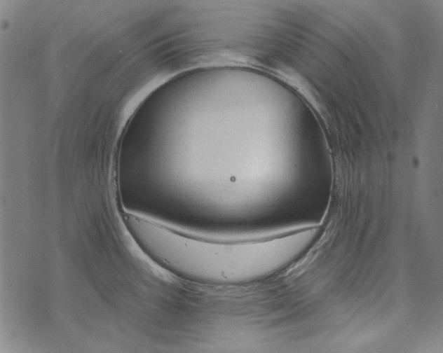 X0000073761387200608171345