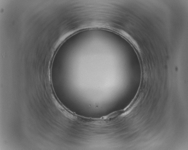 X0000073761388200608171345