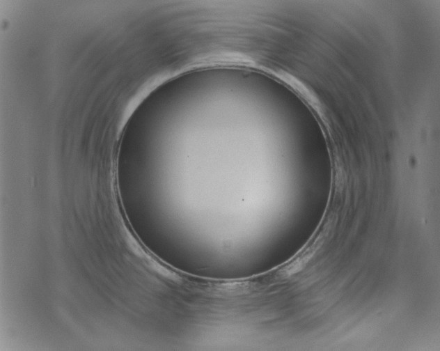 X0000073761390200608171345