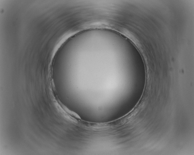 X0000073761392200608171345