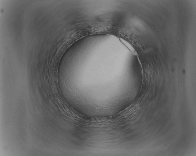 X0000073761393200608171344