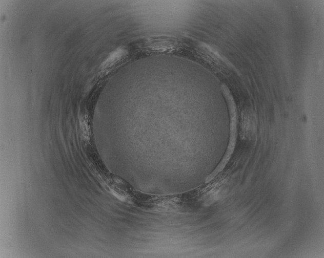 X0000073761394200608171344