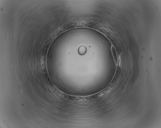 X0000073761395200608171345