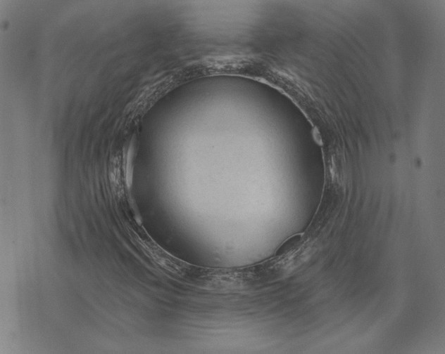 X0000073761396200608171345