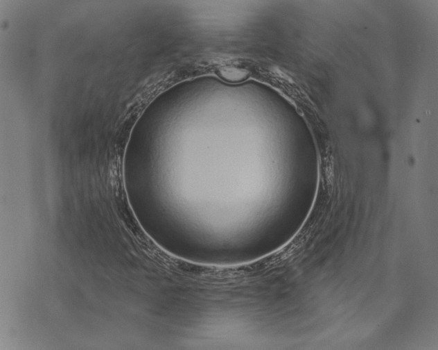 X0000073761397200608171345