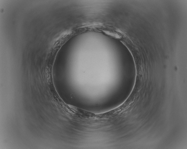 X0000073761398200608171345