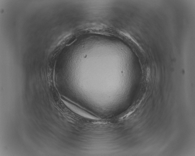 X0000073761399200608171345