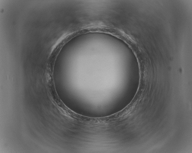 X0000073761400200608171345